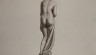 Canova Jodice. Il lato della scultura