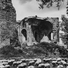 Fondo Emilia Zinzi, Archivio Fotografico – Università della Calabria