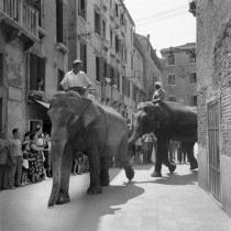 nomearchivio_01-circo-togni-campo-s-agostin-venezia-1954